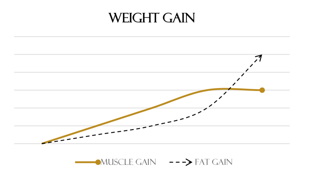 Do You Need A Calorie Surplus To Build Muscle? - JOSEPH MURCI